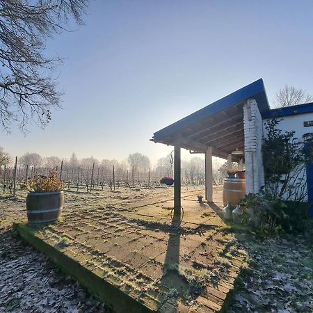 Wijnstaete Bed & Breakfast Lemelerveld ภายนอก รูปภาพ