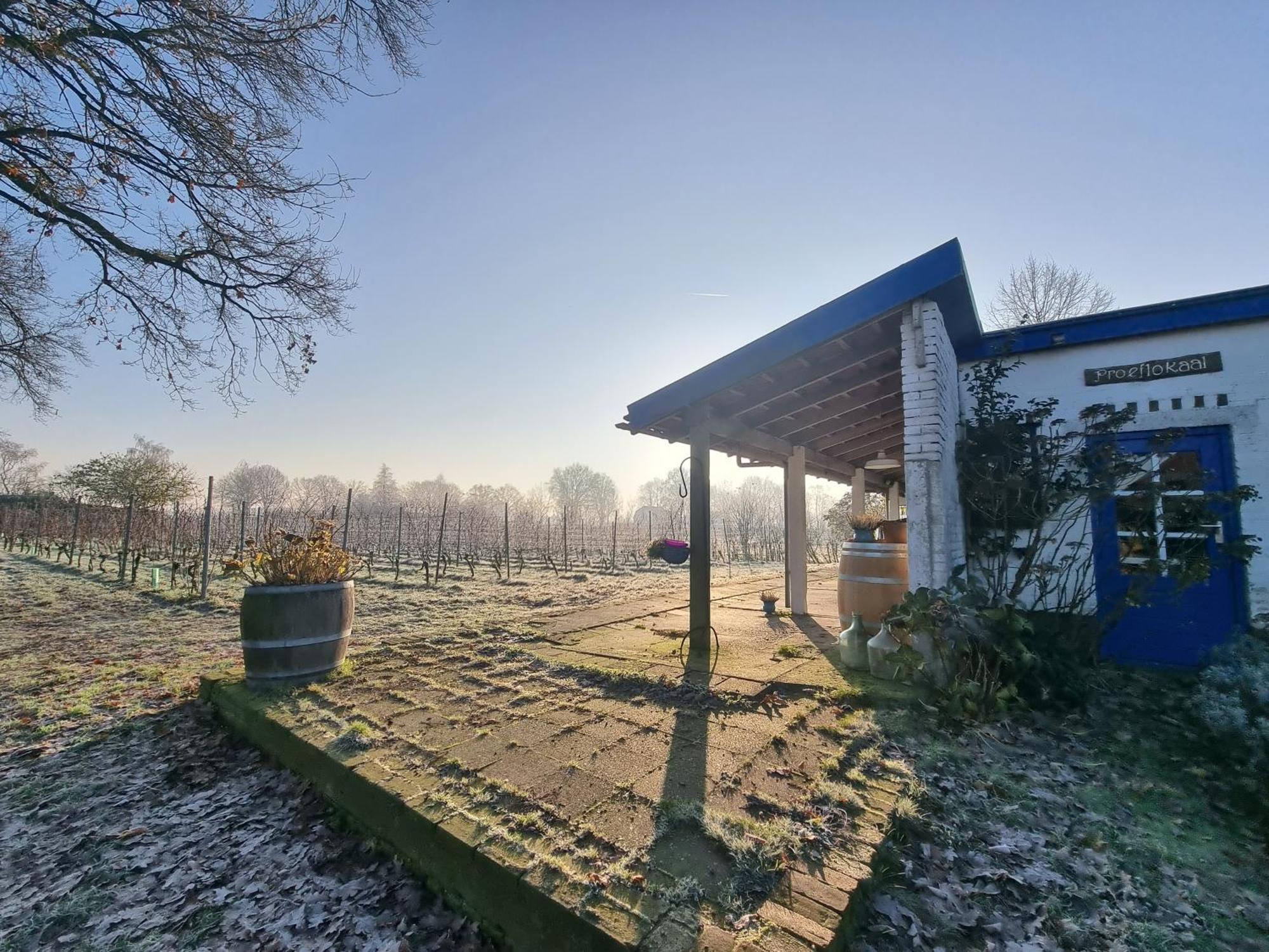 Wijnstaete Bed & Breakfast Lemelerveld ภายนอก รูปภาพ