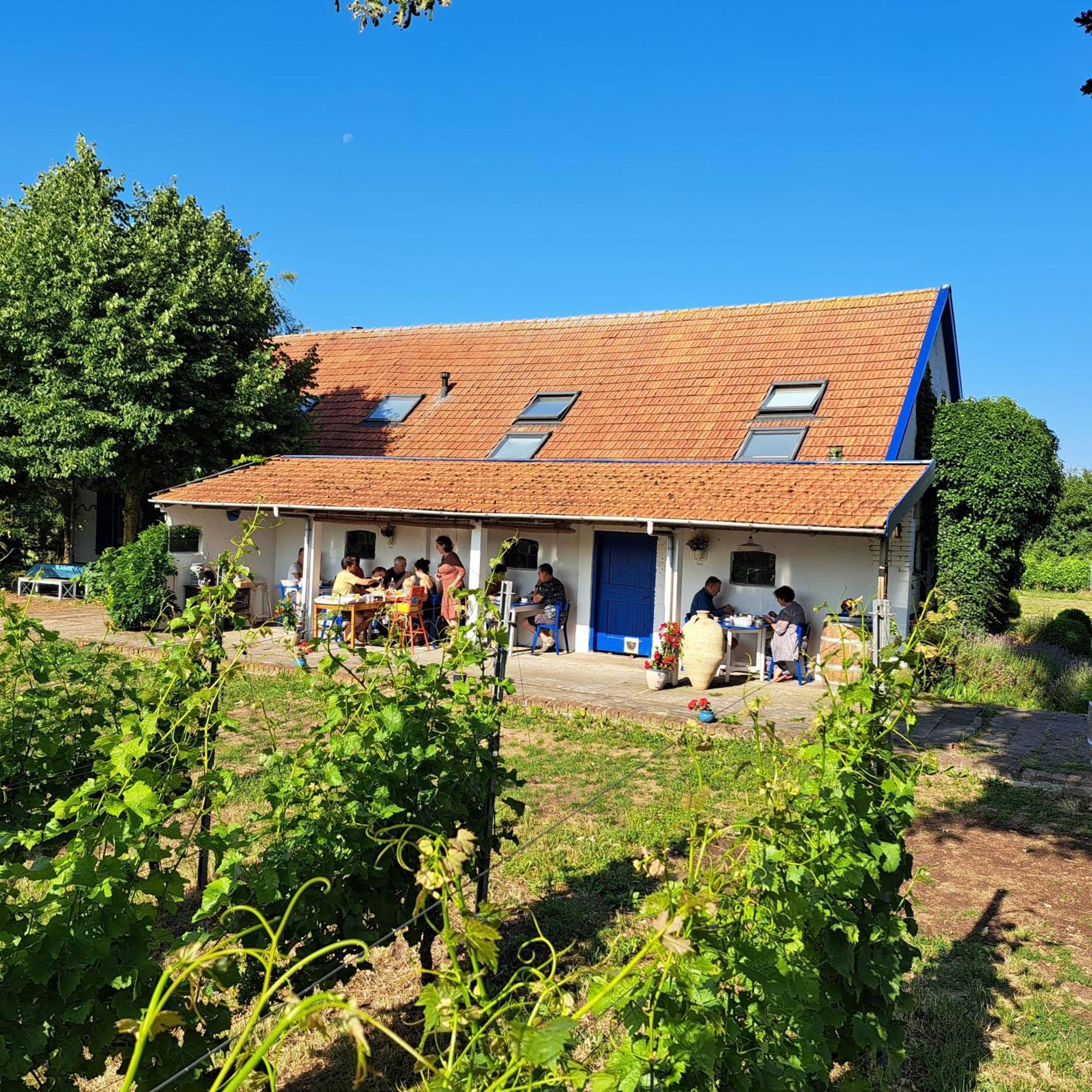Wijnstaete Bed & Breakfast Lemelerveld ภายนอก รูปภาพ